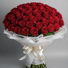 Букет 101 Красная роза Блэк Мэджик в Октябрьском Московской области