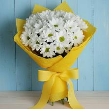 Букет цветов из:  Хризантемы в Октябрьском Московской области