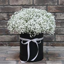 Цветочная композиция из Гипсофила в шляпной коробке в Октябрьском Московской области