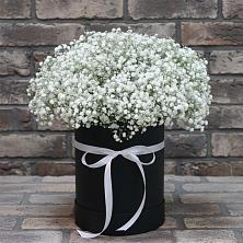 Цветочная композиция из Гипсофила в шляпной коробке в Октябрьском Московской области