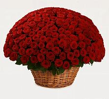 Премиум букет из: Розы в Октябрьском Московской области